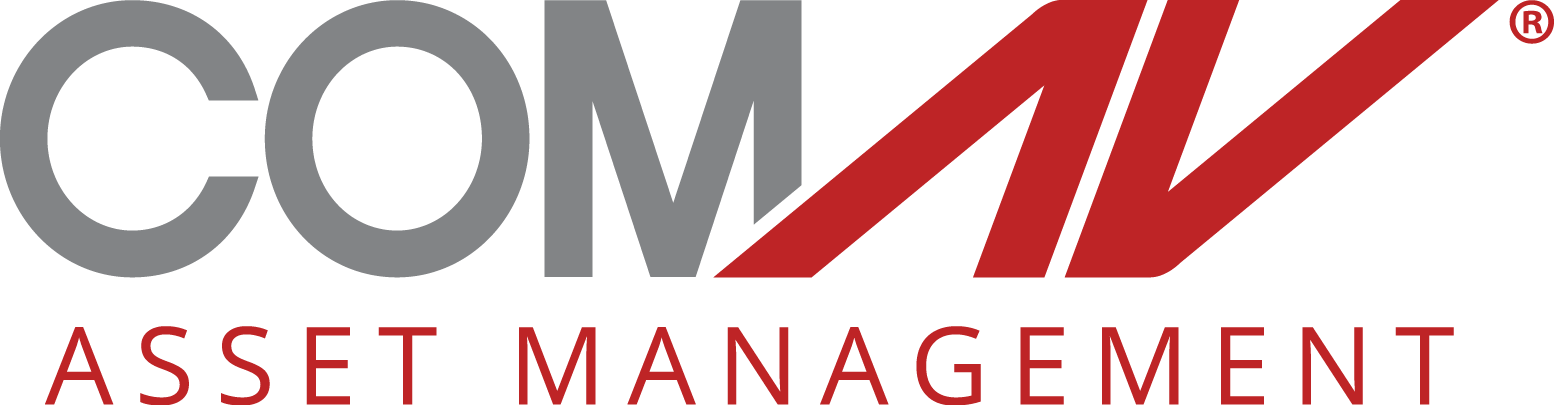 Management Review/ComAv Asset Management