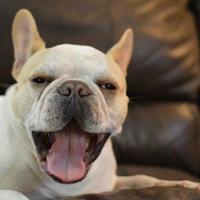 Gemba Walk Checklist