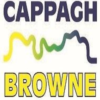 Cappagh Browne WNS Site Inspection