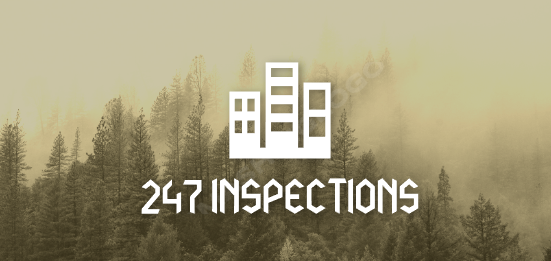 Property Inspection Report (Selective License)