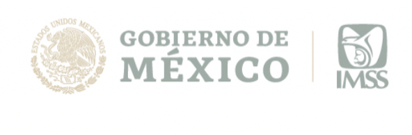 Auditoria COVID-19- Gobierno de México - 