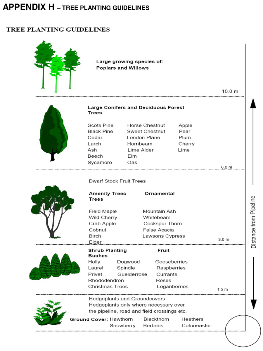 Tree and Scrub Clearance Report SafetyCulture