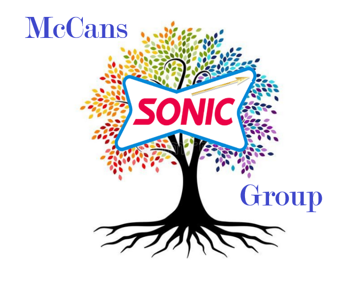 McCans Cyber Security Self Assessment