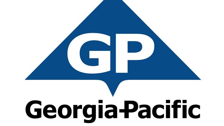 Georgia Pacific General Site Audit