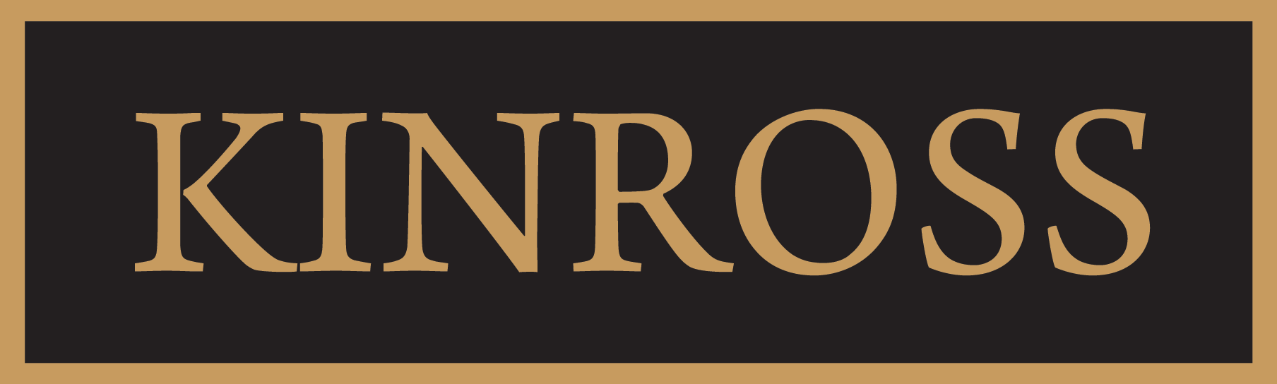 FIR - FICHA DE INSPEÇÃO REGULAR