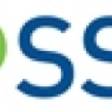 SSE Transmission Security and Safety Audit