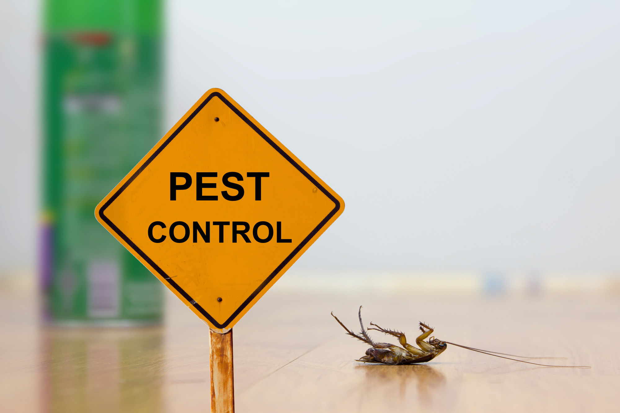 Pest Management Inspection 