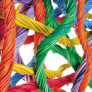 Workshop Site Inspection