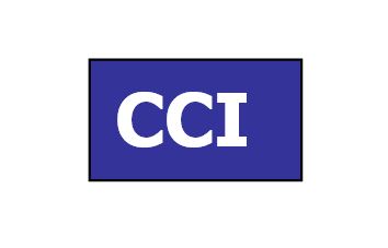 CCI Vehicle Safety Inspection Checklist