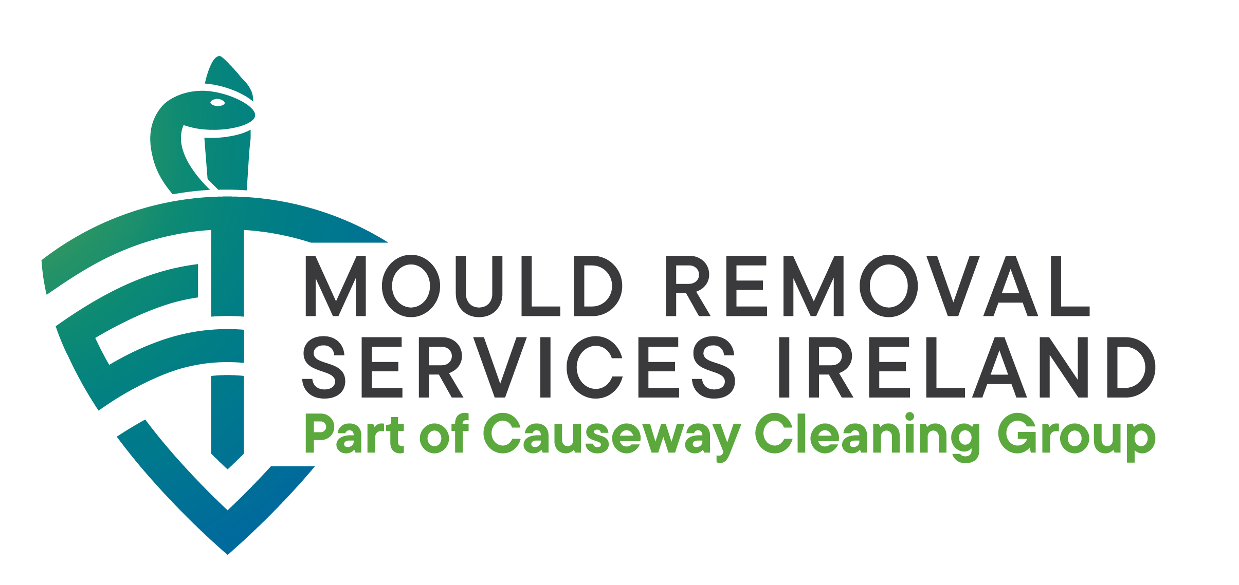 Causeway Cleaning Ltd ta/ Mould Removal Services Ireland  Damp and Mould Inspection Form