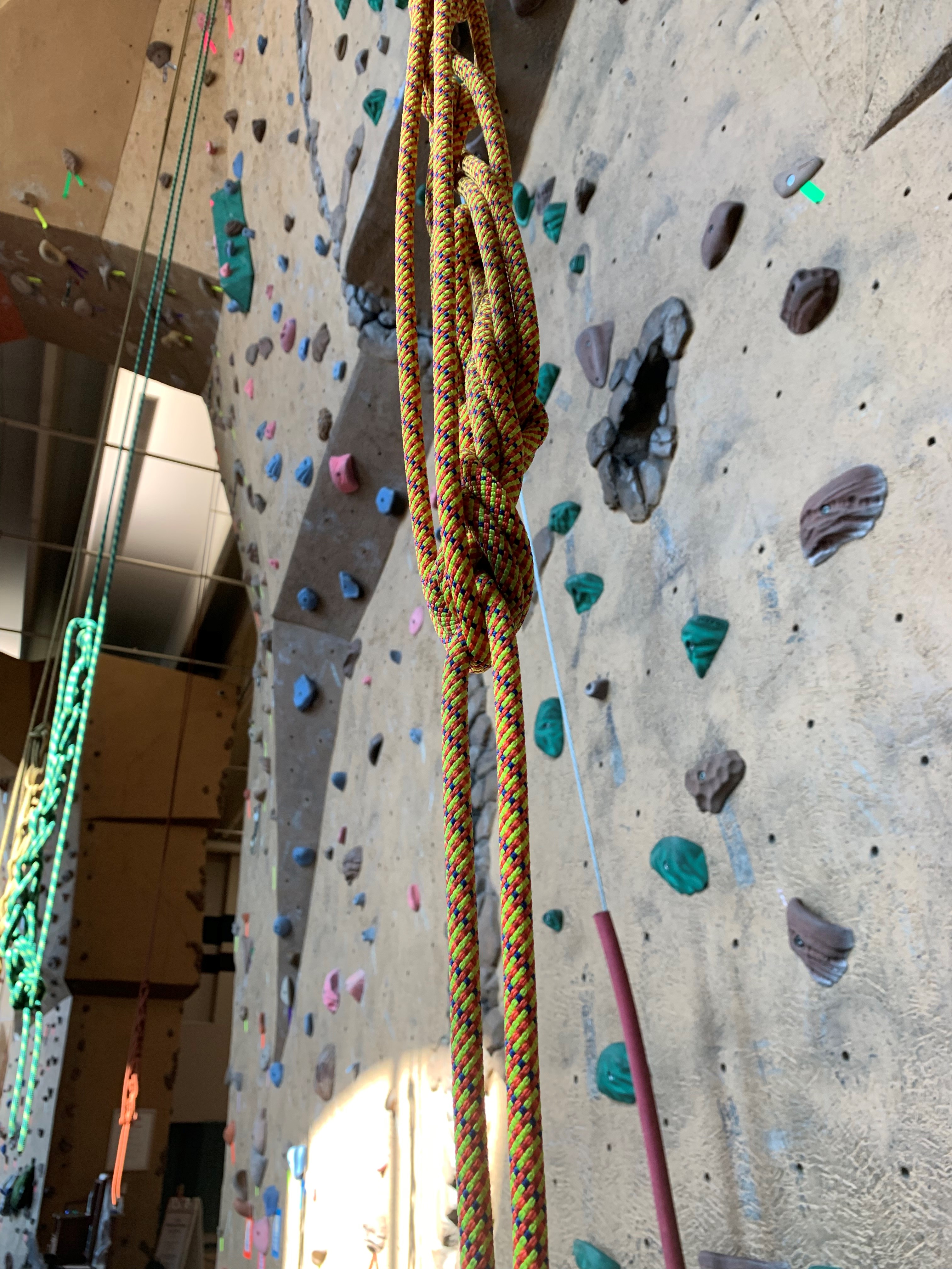 Daisy Chain - Up Close - Correct.jpg