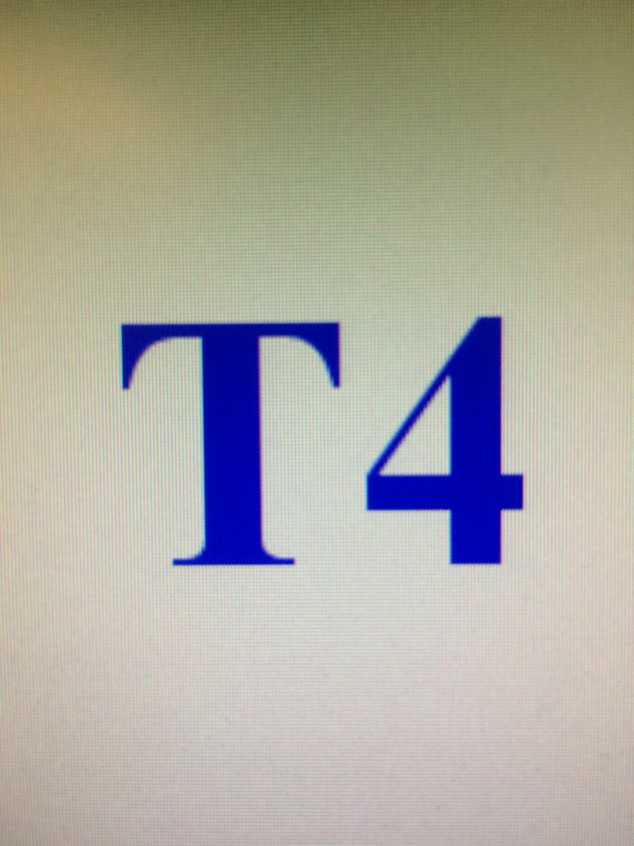 Safety Team Obs JFK - T4