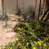 JGI - AZ: Quarterly Environmental Audit Updated 7/30/14