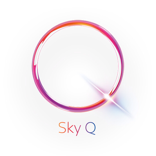 Sky Q for Managers