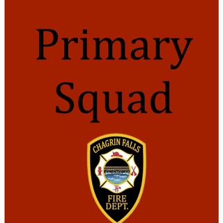 Primary Squad Long Check