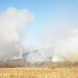 Natural Reserves Annual Fire Audit 