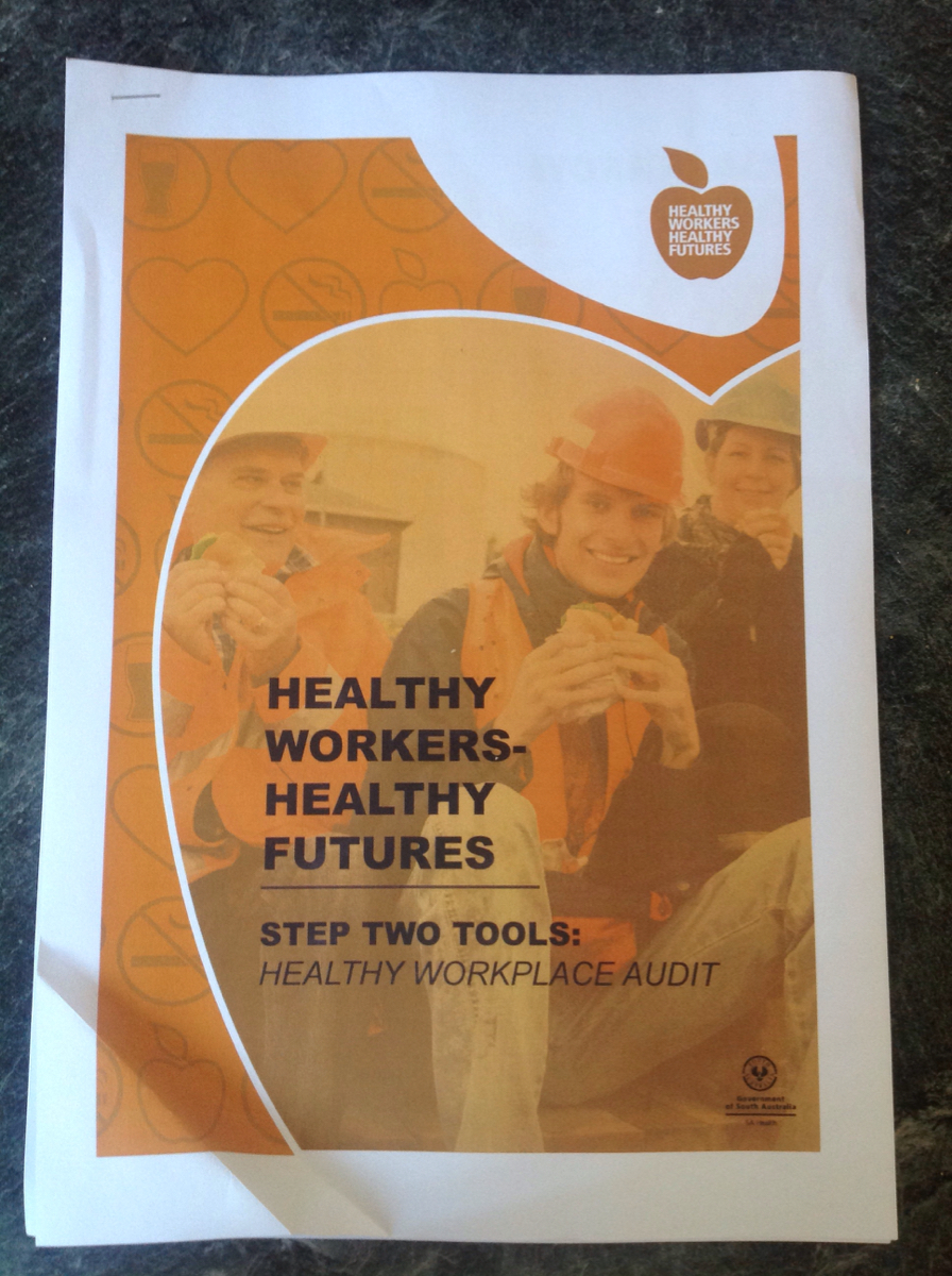 Healthy Workers Healthy Futures: healthy workplace audit 