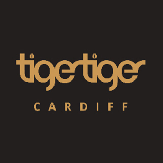 Tiger Tiger Cardiff 5pm Audit