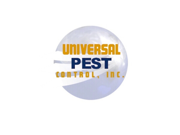 Pest Control Inspection Report