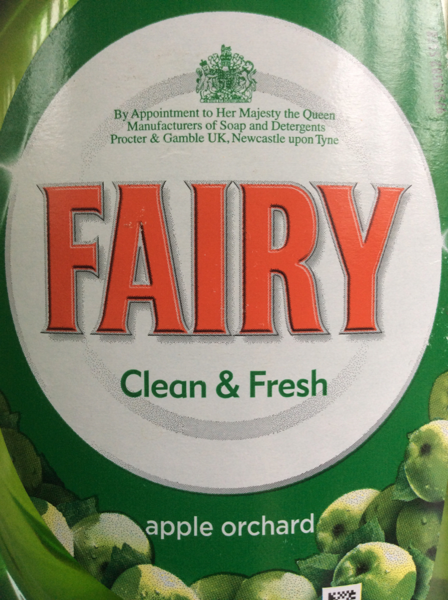 Property cleaners inspection