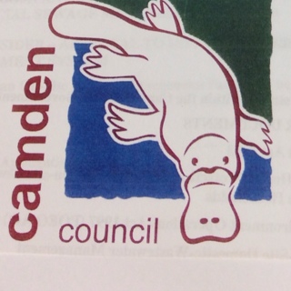 CAMDEN COUNCIL AWTS COMMISSIONING