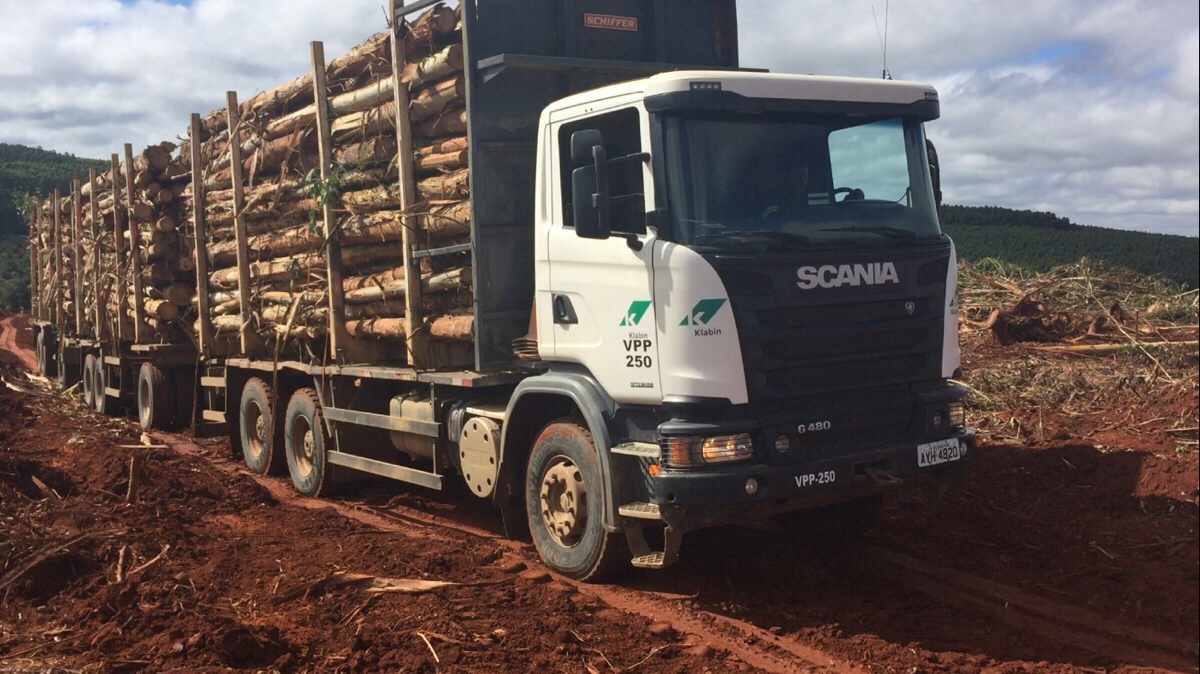 Evidência no transporte de madeira florestal