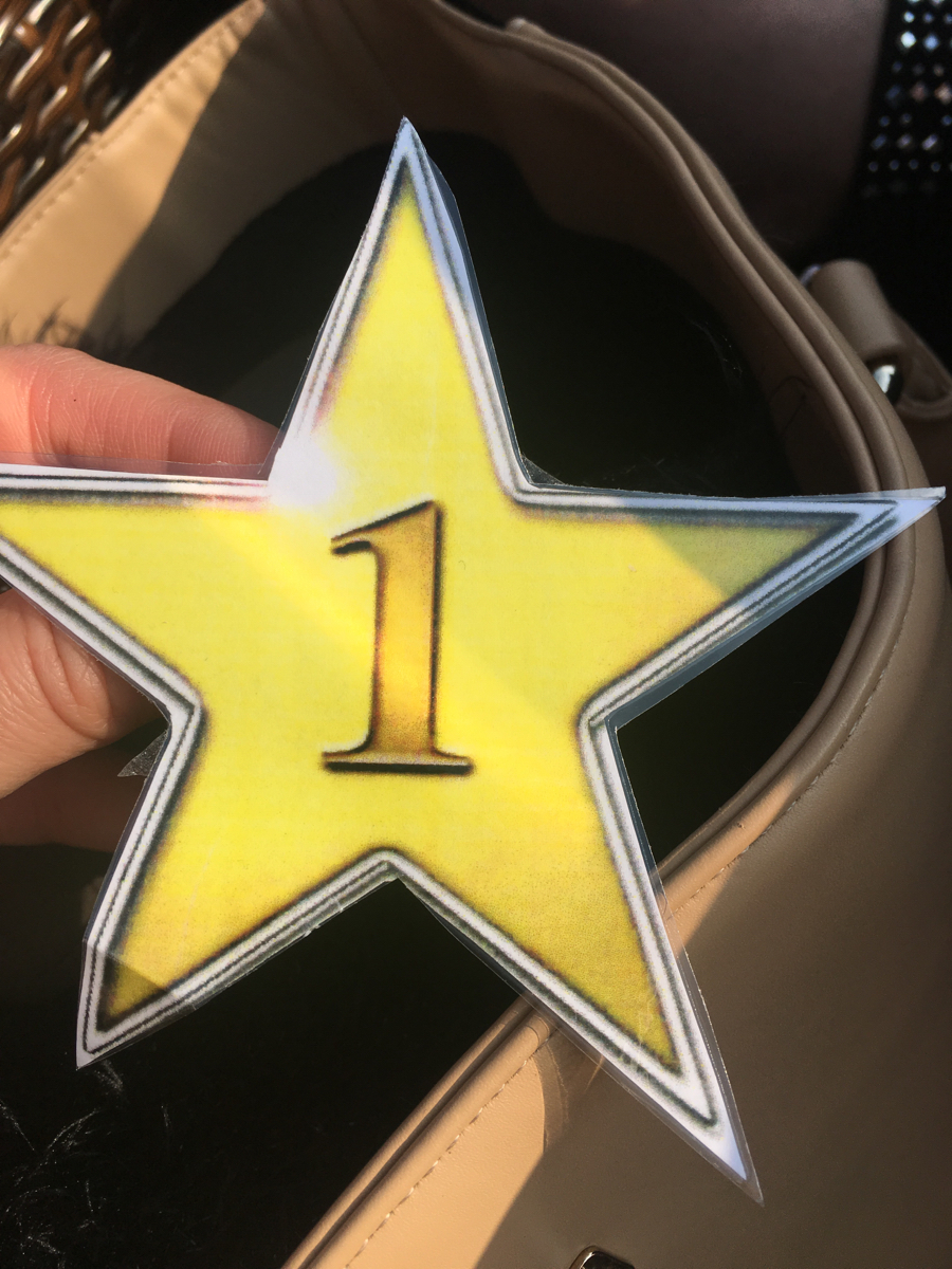 Coach Meeting Observation Form