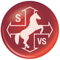 Bookers Health & Safety and Standards Check List v.1