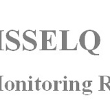 HSSELQ  HSE Site Monitoring Report - duplicate