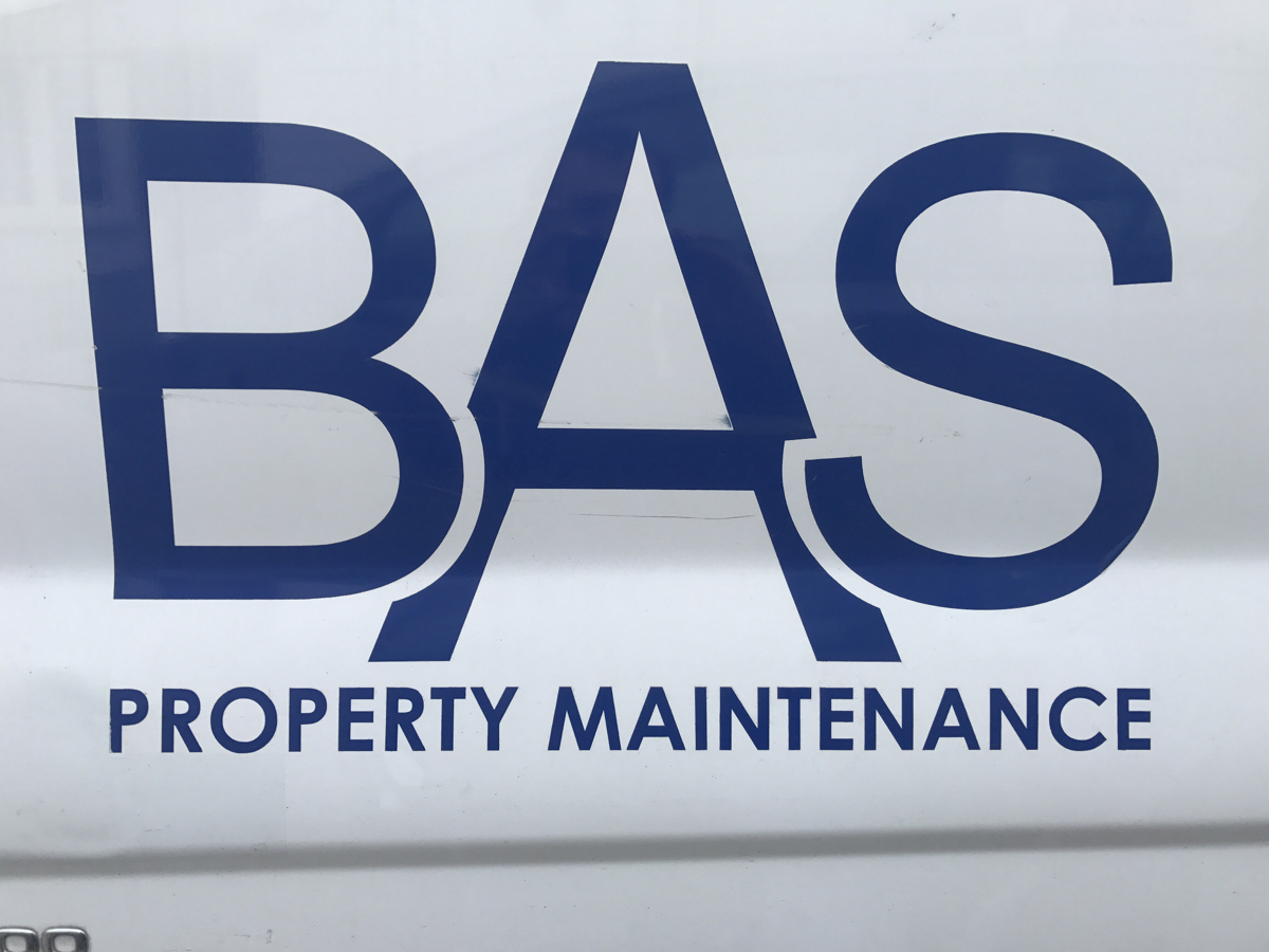 BAS Site Audit Report