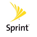 Sprint Store 2043 - SSE Coaching Form