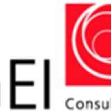 GEI Health & Safety Audit Checklist