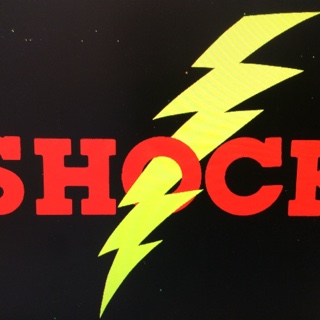 TechSafe Australia - Shock & Incident Investigation Report