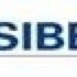 Sibelco Light Vehicle Inspection Checklist