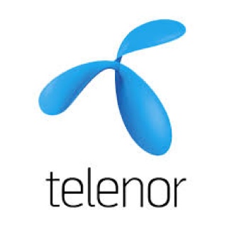 BN Entreprenor - Stolpekontroll Telenor