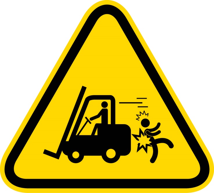 Critical Control Process Inspection - Plant and Pedestrian Interaction