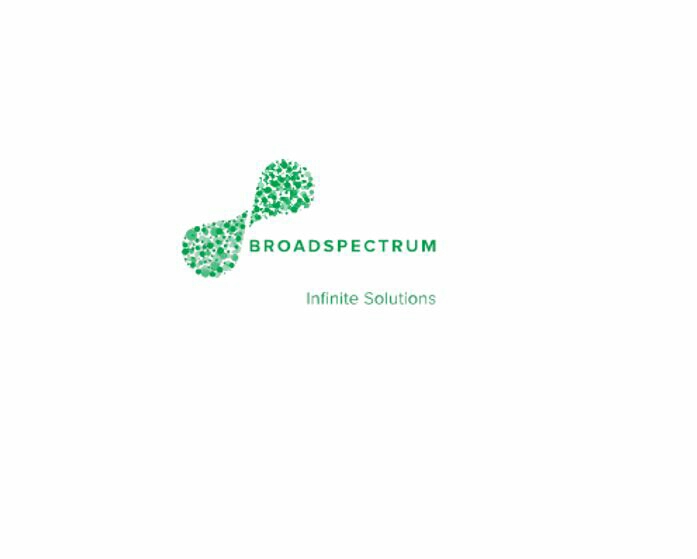 Broadspectrum Health & Safety Snapshot Form - Field