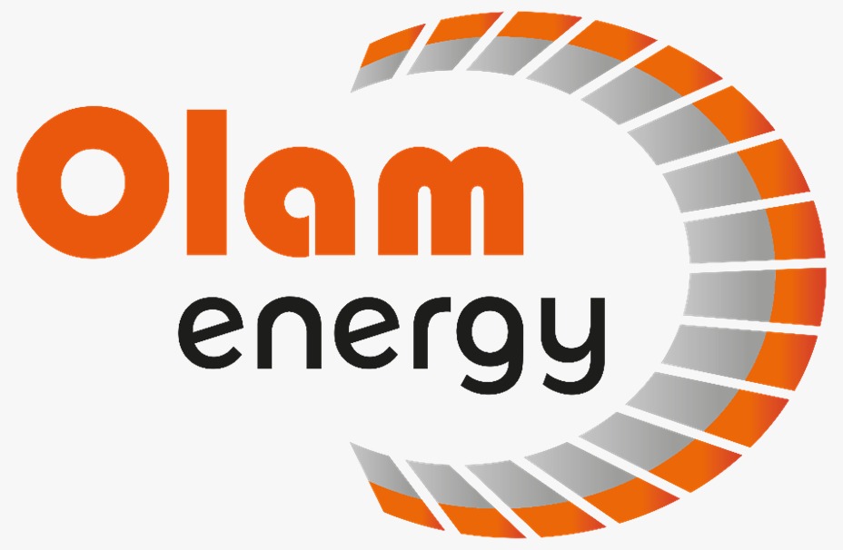 Offshore Tank Container : On-hire Inspection report Olam Energy