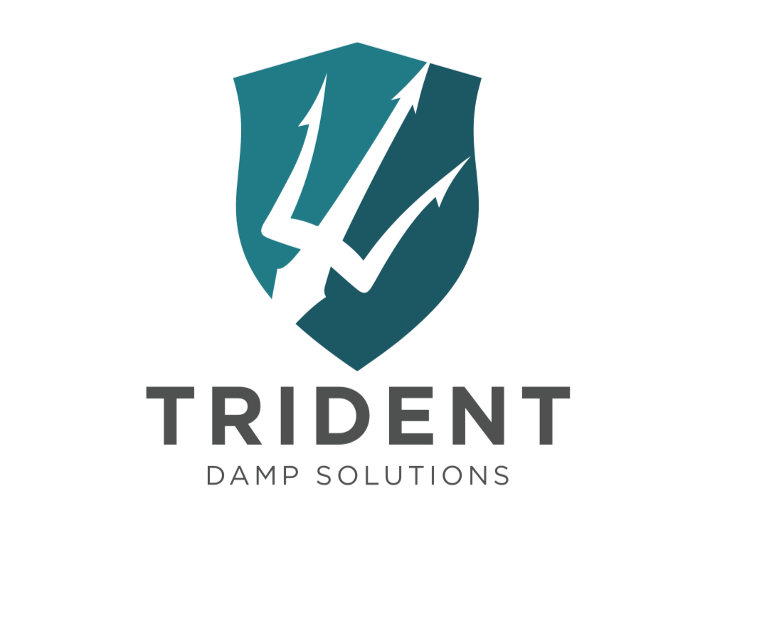 Trident Damp Solutions Post Extraction Report