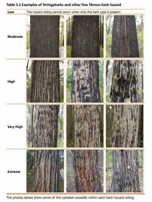 Stringybark