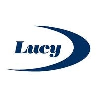 Lucy Developments - Site Safety & Hazard Inspection Form