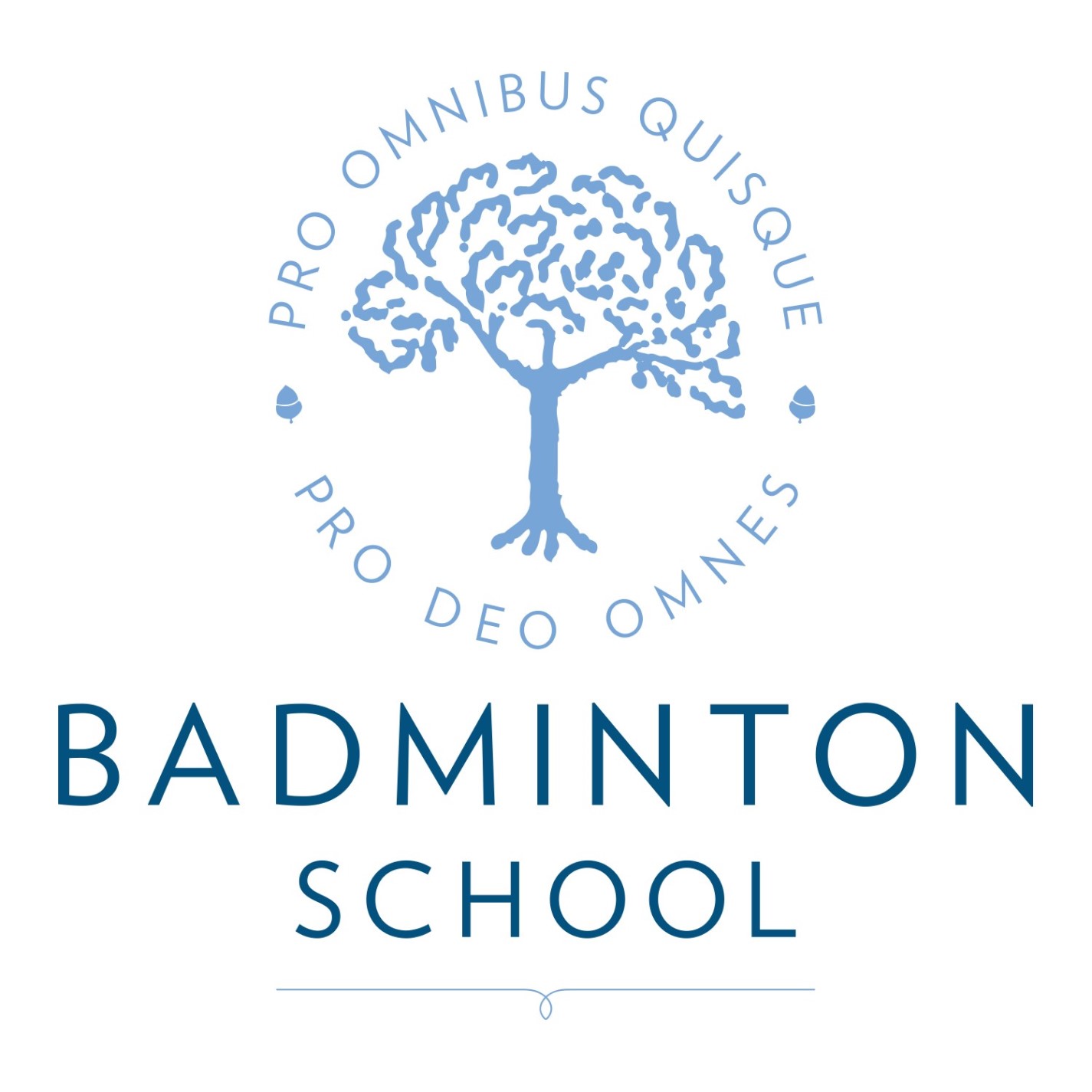 Badminton School Compliance audit