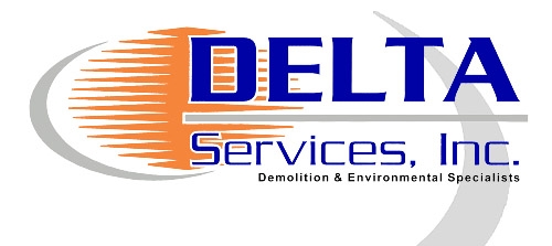 Delta Services Safety Audit