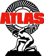 ATLAS Weekly Safety Observation/Audit Checklist 