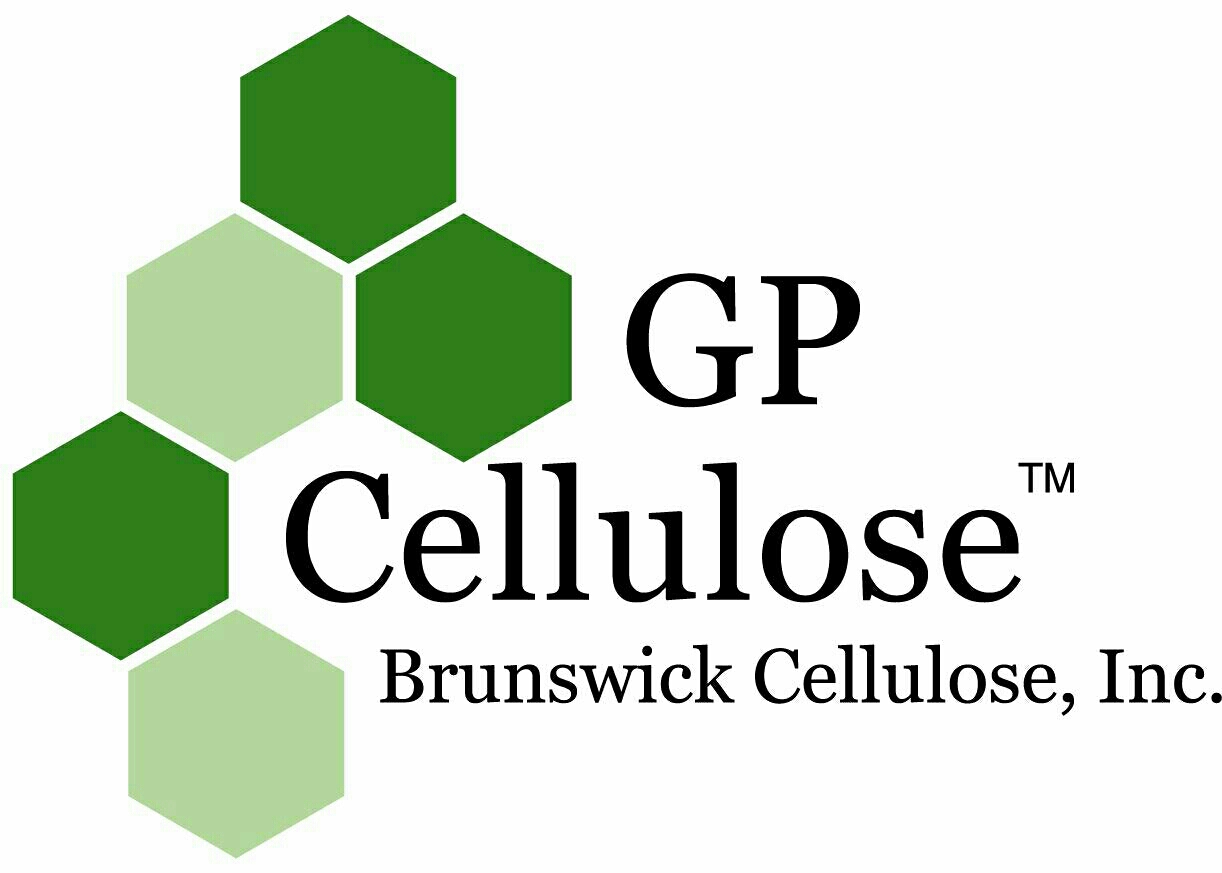 Brunswick Cellulose Safe Work Permit Audit