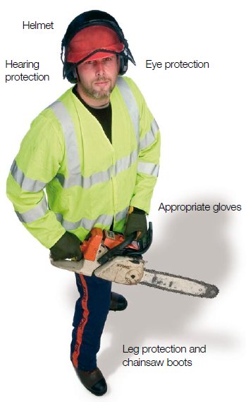Chainsaw PPE.jpg