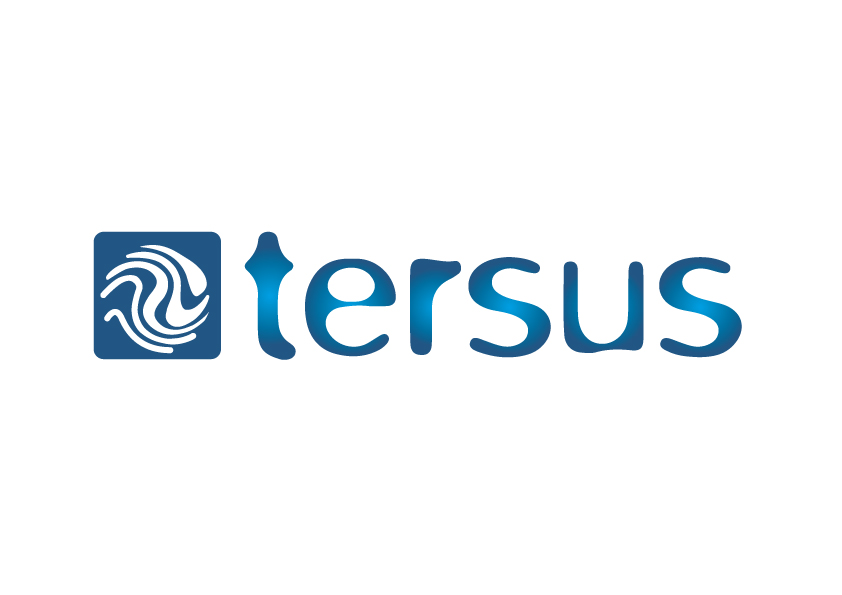 Tersus Surveying Witness Audit (Electronic)
