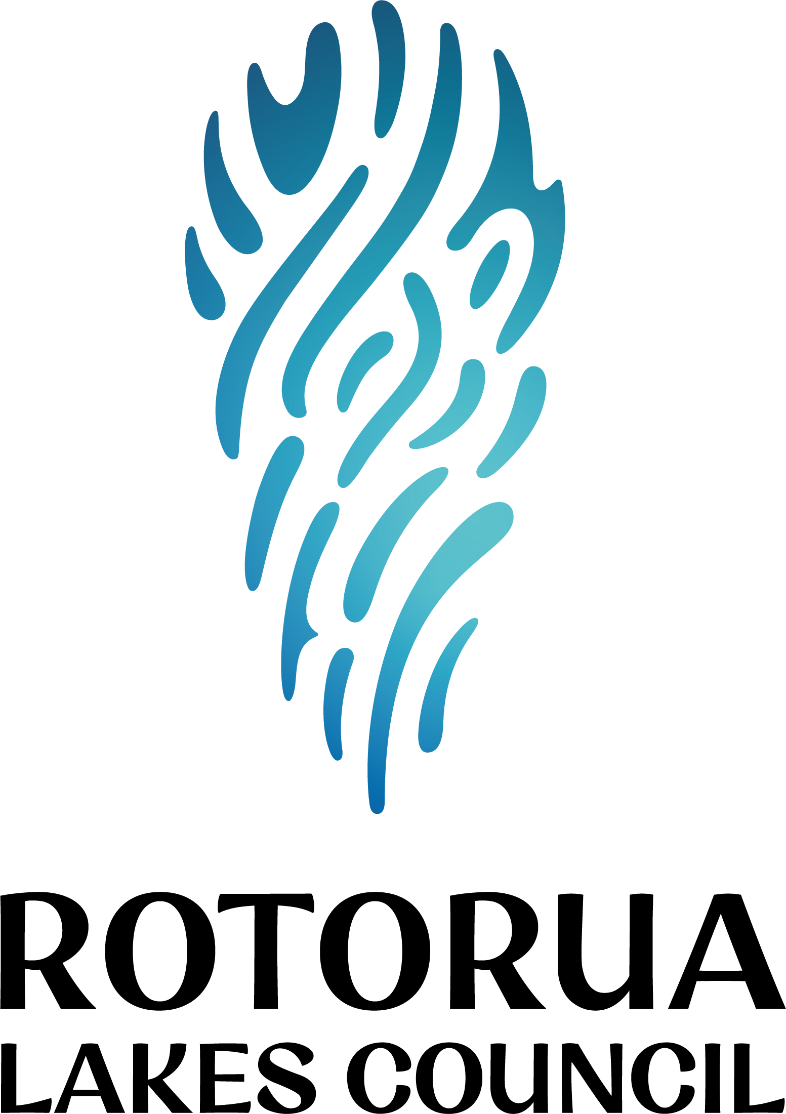 RLC - Public Toilet Inspection