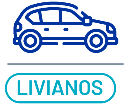 Vehículos Livianos-inspección
