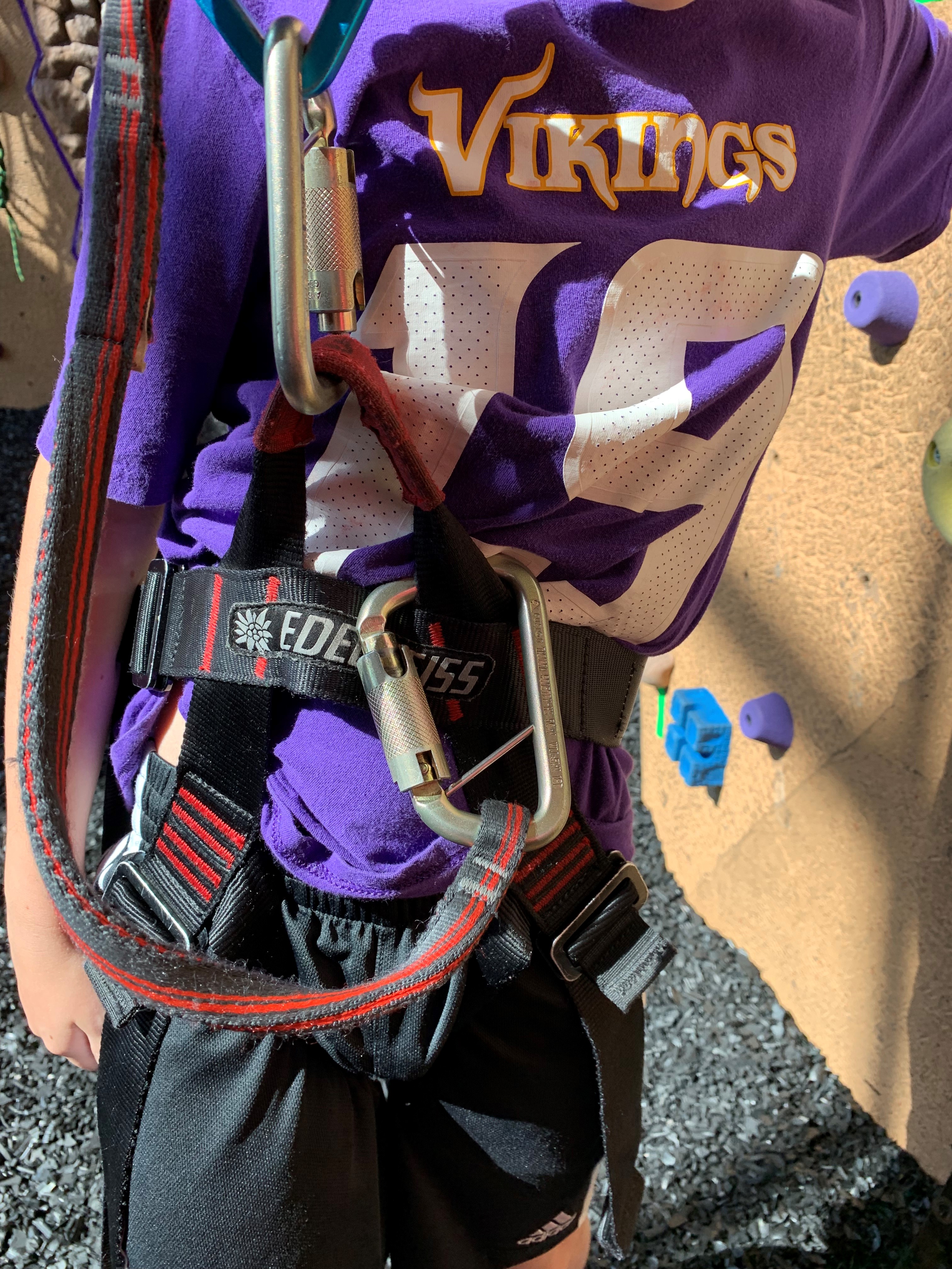 Harnessed and Clipped Child - Correct (1).jpg